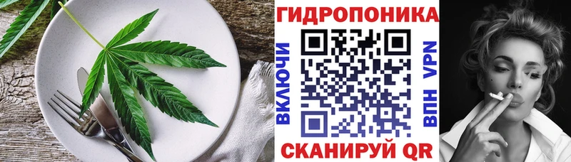 Cannafood конопля Вятские Поляны
